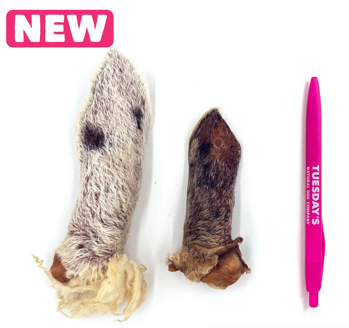 Furry Lamb Ear (Bulk)