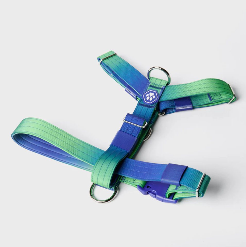 Comfort Control No-Pull Dog Harness