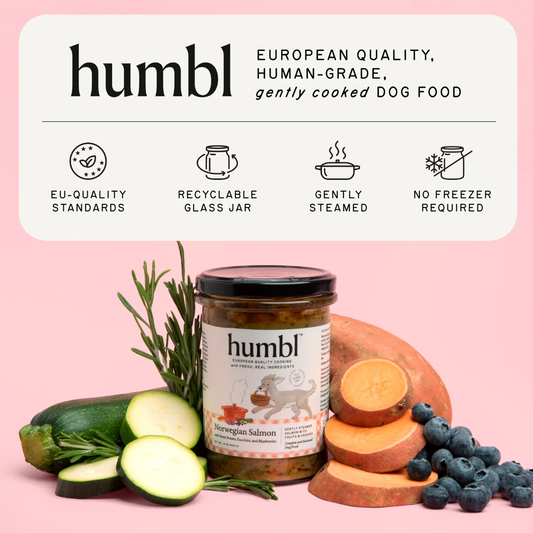 Humbl Gently Steamed Jar Dog Food