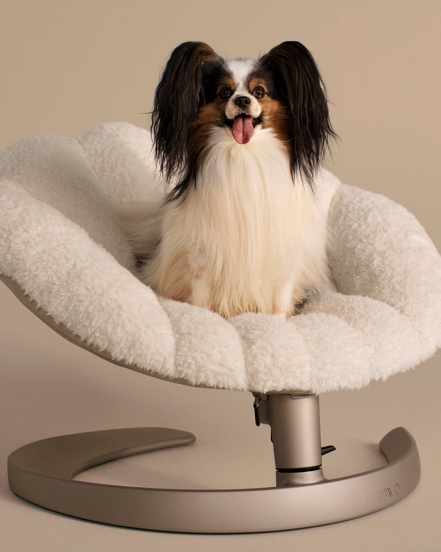 Tavo Shell Pet Bed and Swaying Lounger