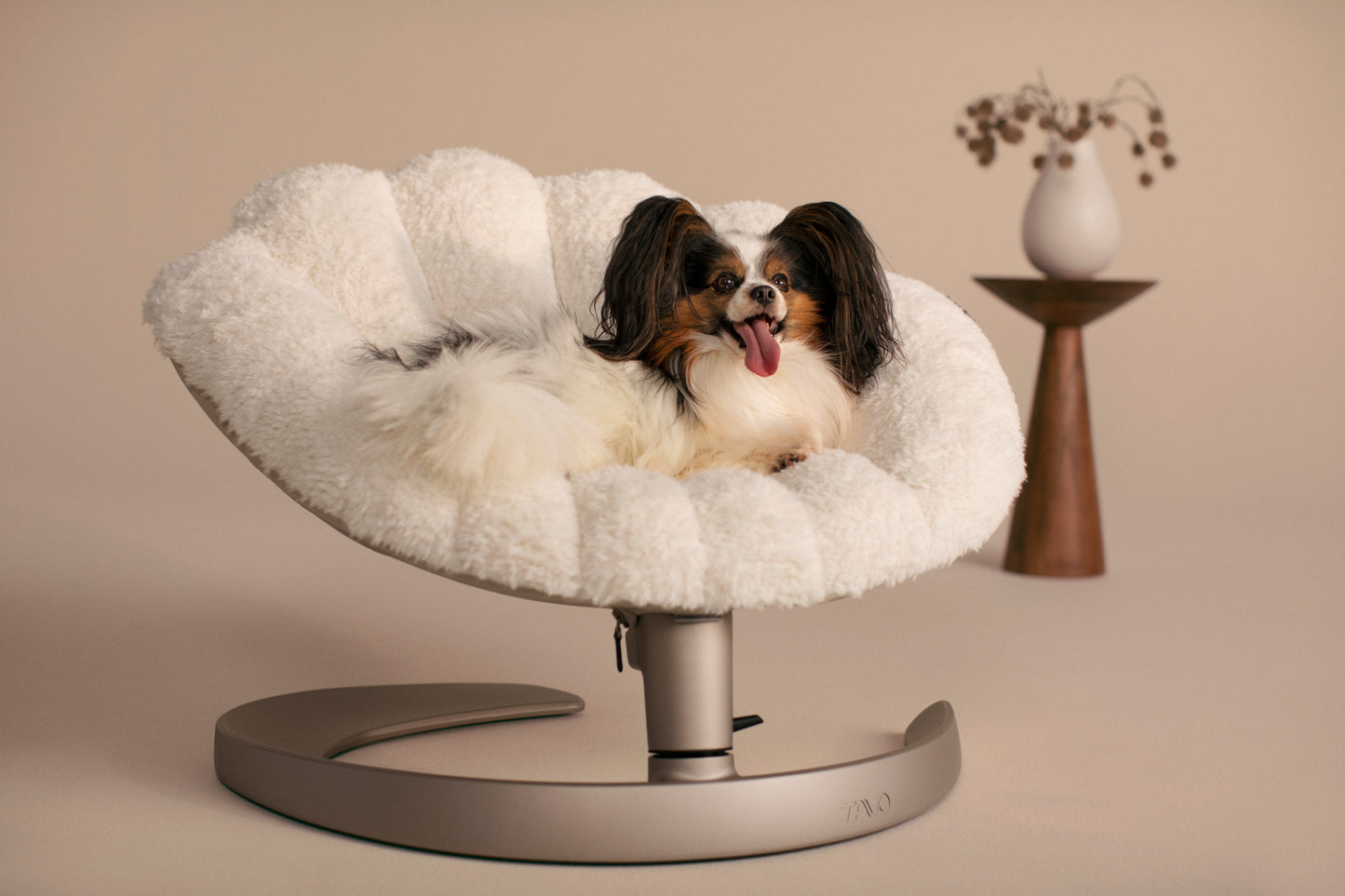 Tavo Shell Pet Bed and Swaying Lounger