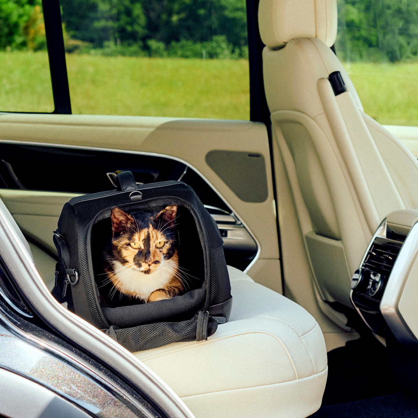 Tavo Dupree I Airline Carry-On Pet Car Seat