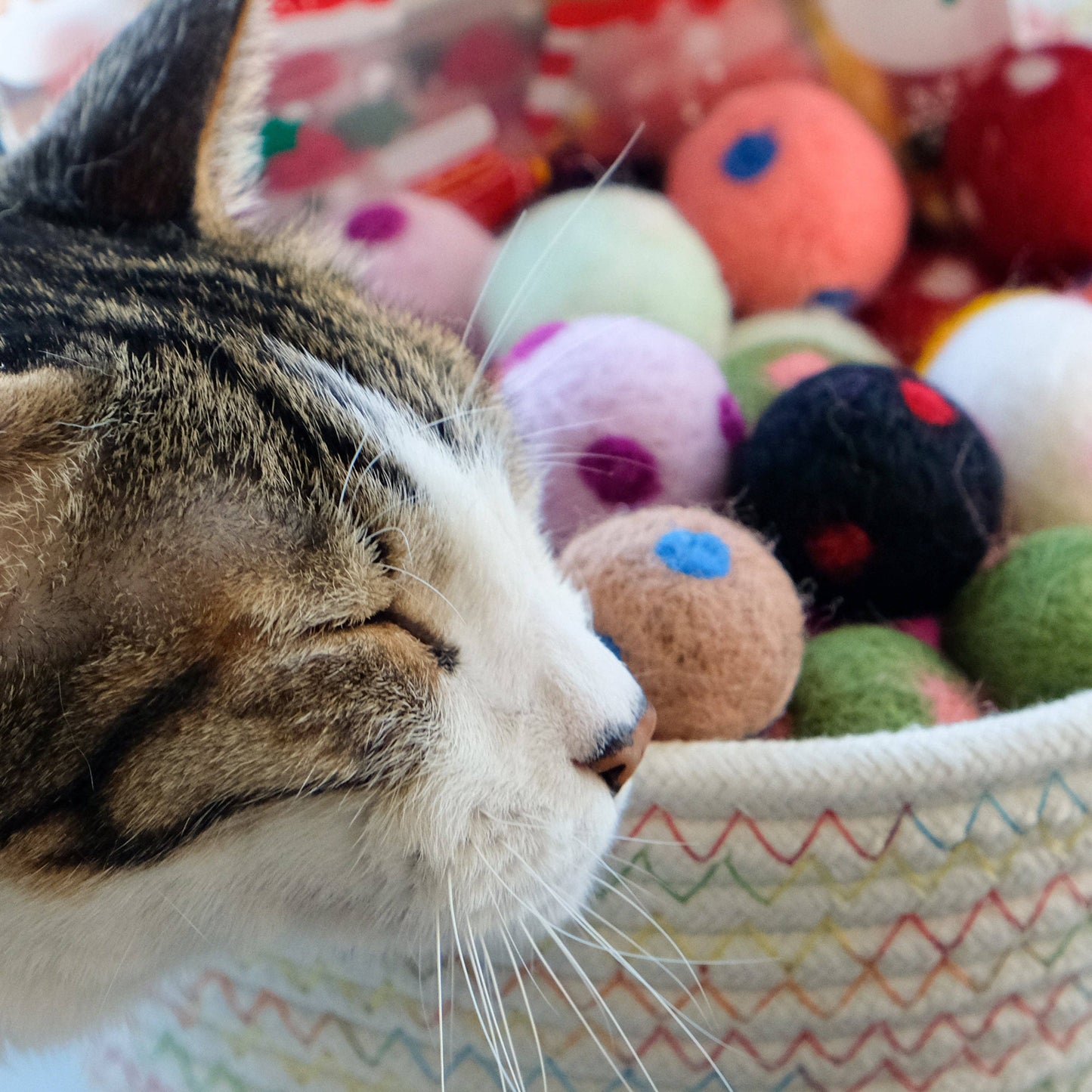 Handmade Wool Felt Cat Toy - Dotted Balls
