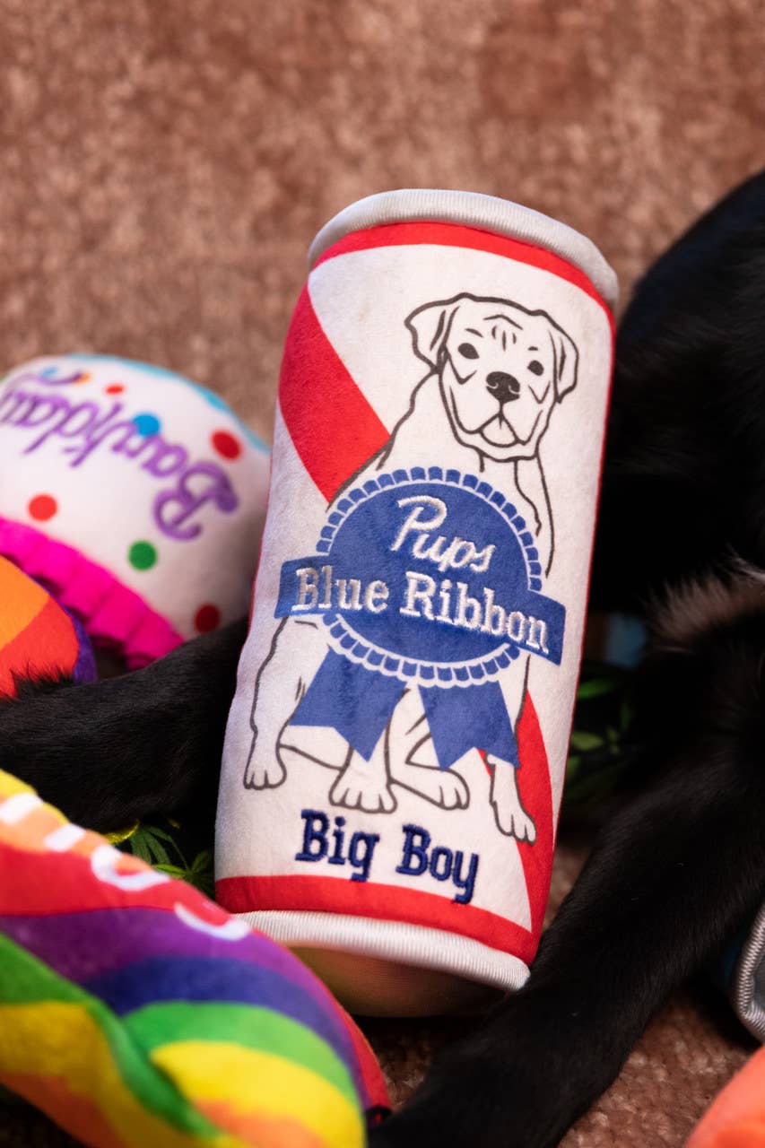 Pups Blue Ribbon Dog Toy