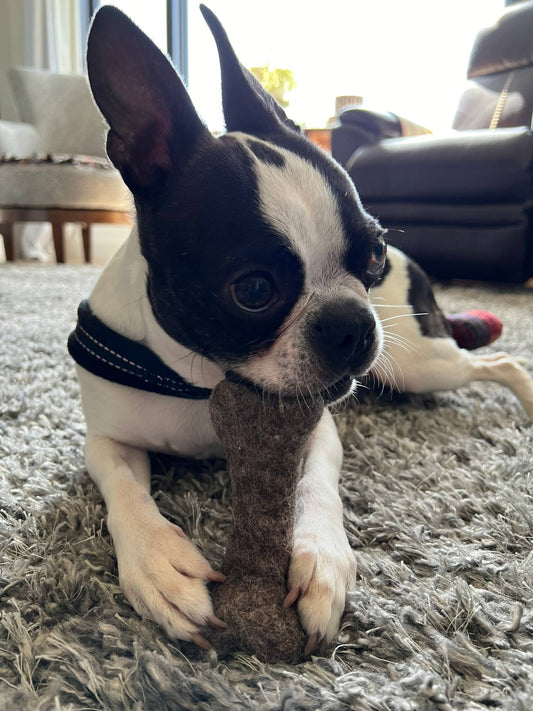 Felt Bone Dog Toy