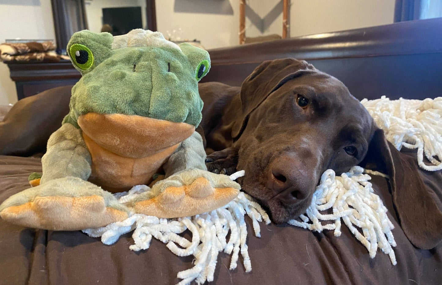 Tall Tails Animated Frog Dog Toy