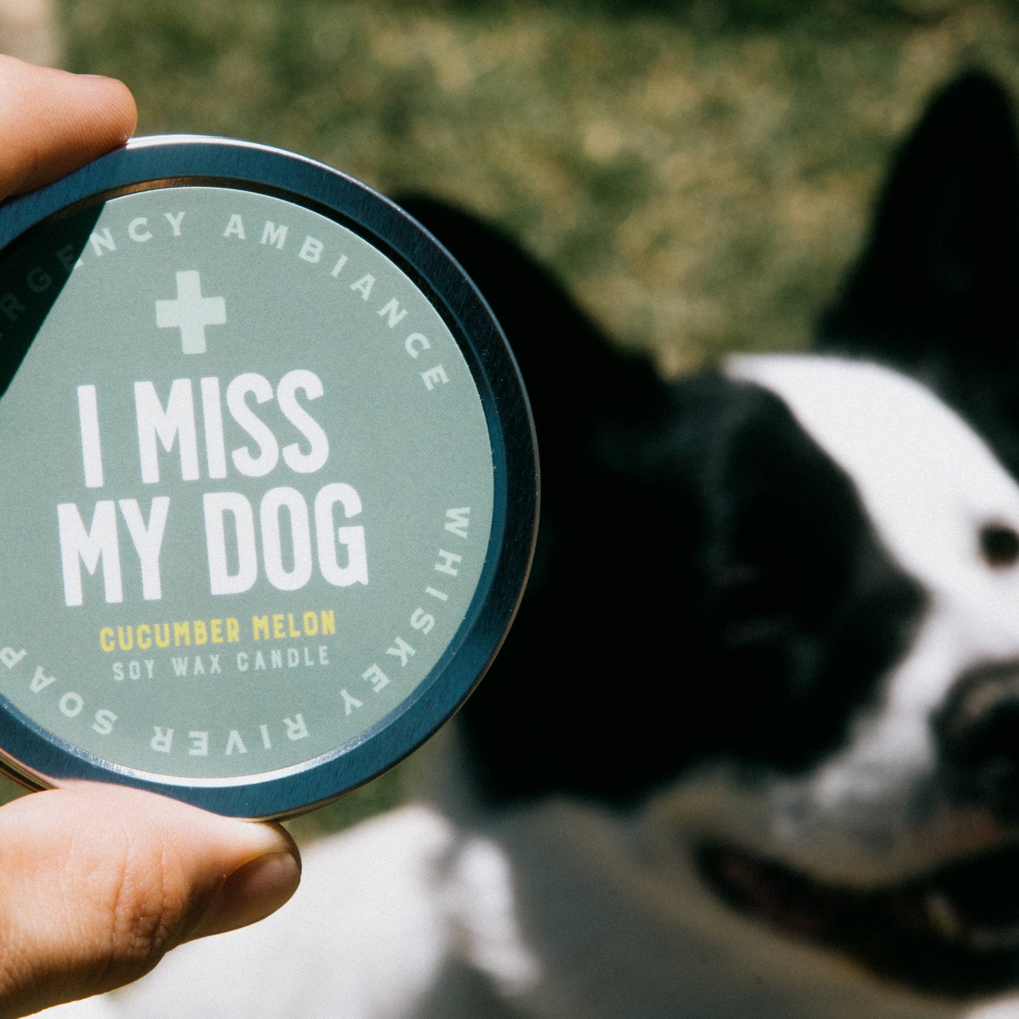 I Miss My Dog Emergency Ambiance Travel Tin | Funny Candle