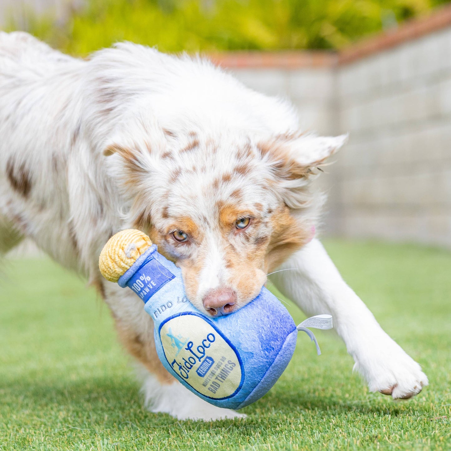 Fido Loco Tequila Dog Toy