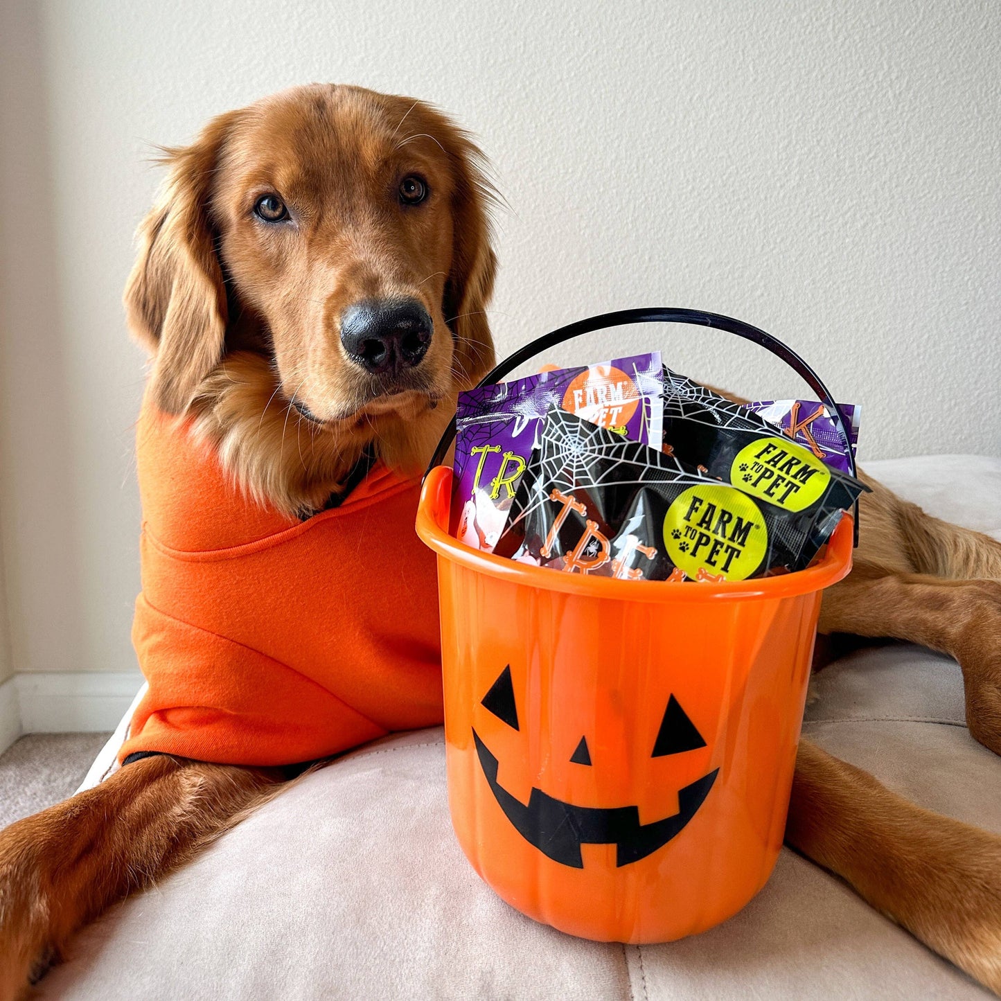 Halloween Dog Treat Snack Pack