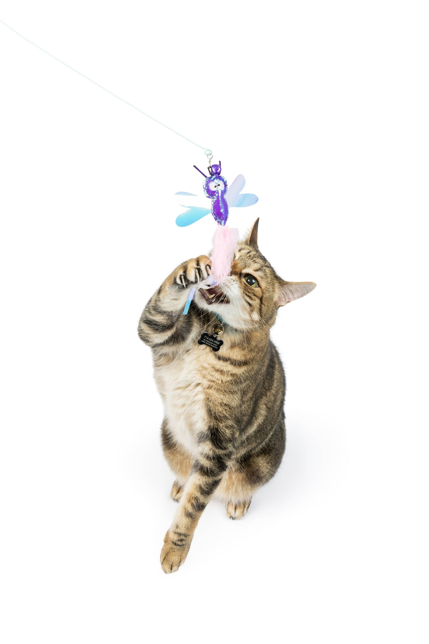 Dragonfly Streamers 2pk Refill Cat Toy