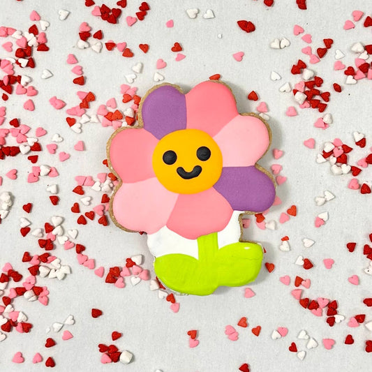 Cookie - Rainbow Petal Daisy