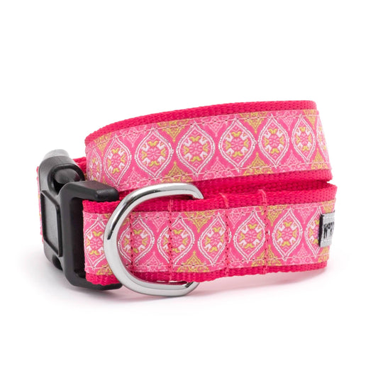 Dog Medallion Dog Collar