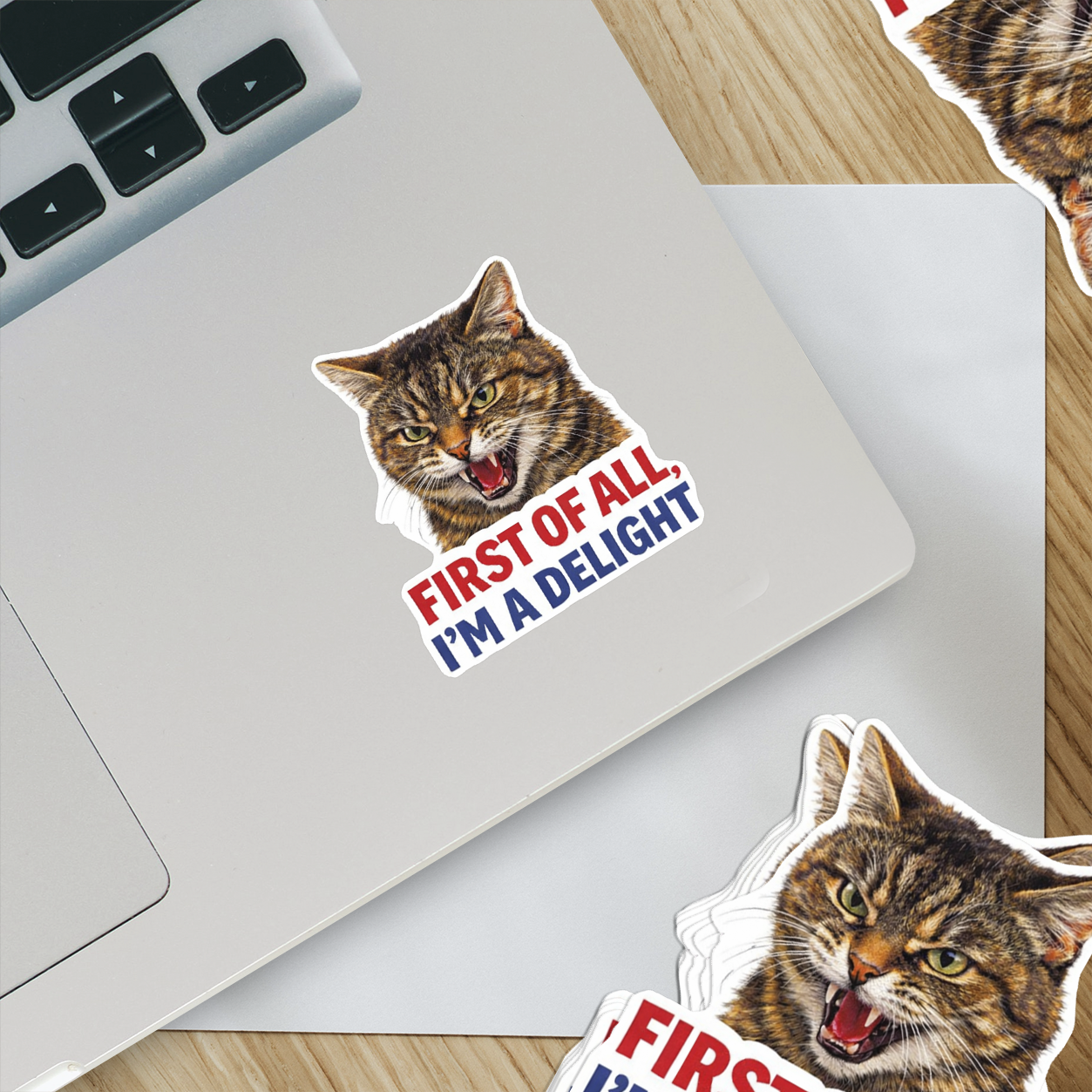 Funny Cat Attitude Sticker First Of All Im A Delight