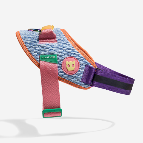 Galaxy | FlyHarness