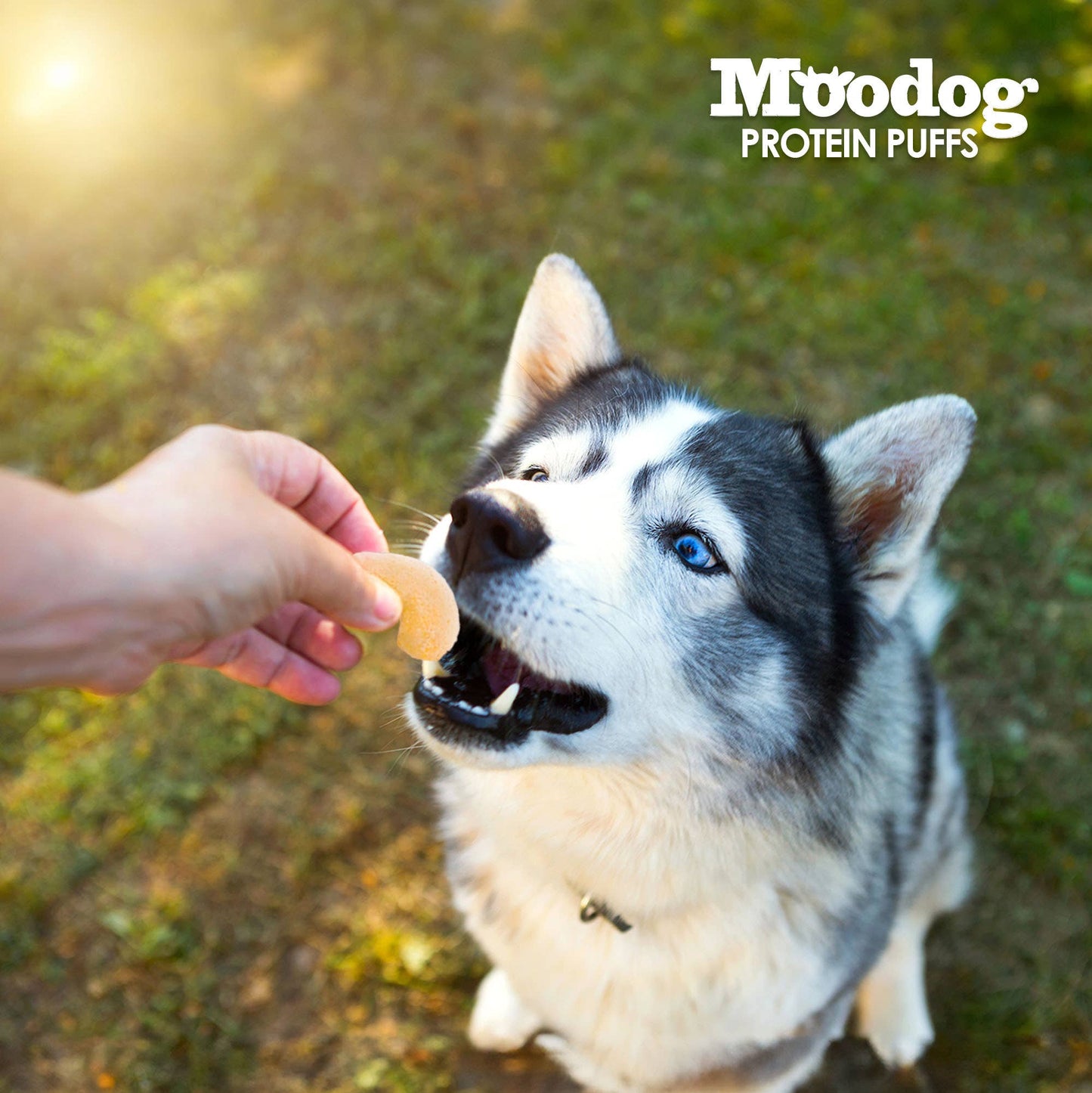 Moodog Protein Puffs