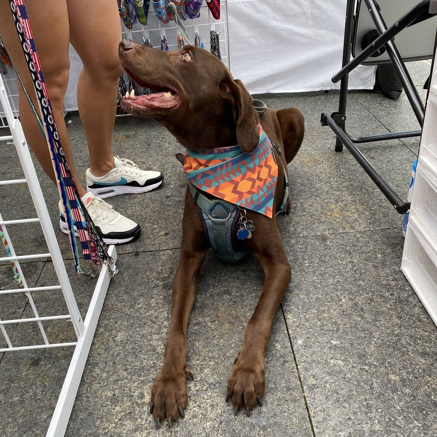 Navajo RUFFLECT® Dog Bandana