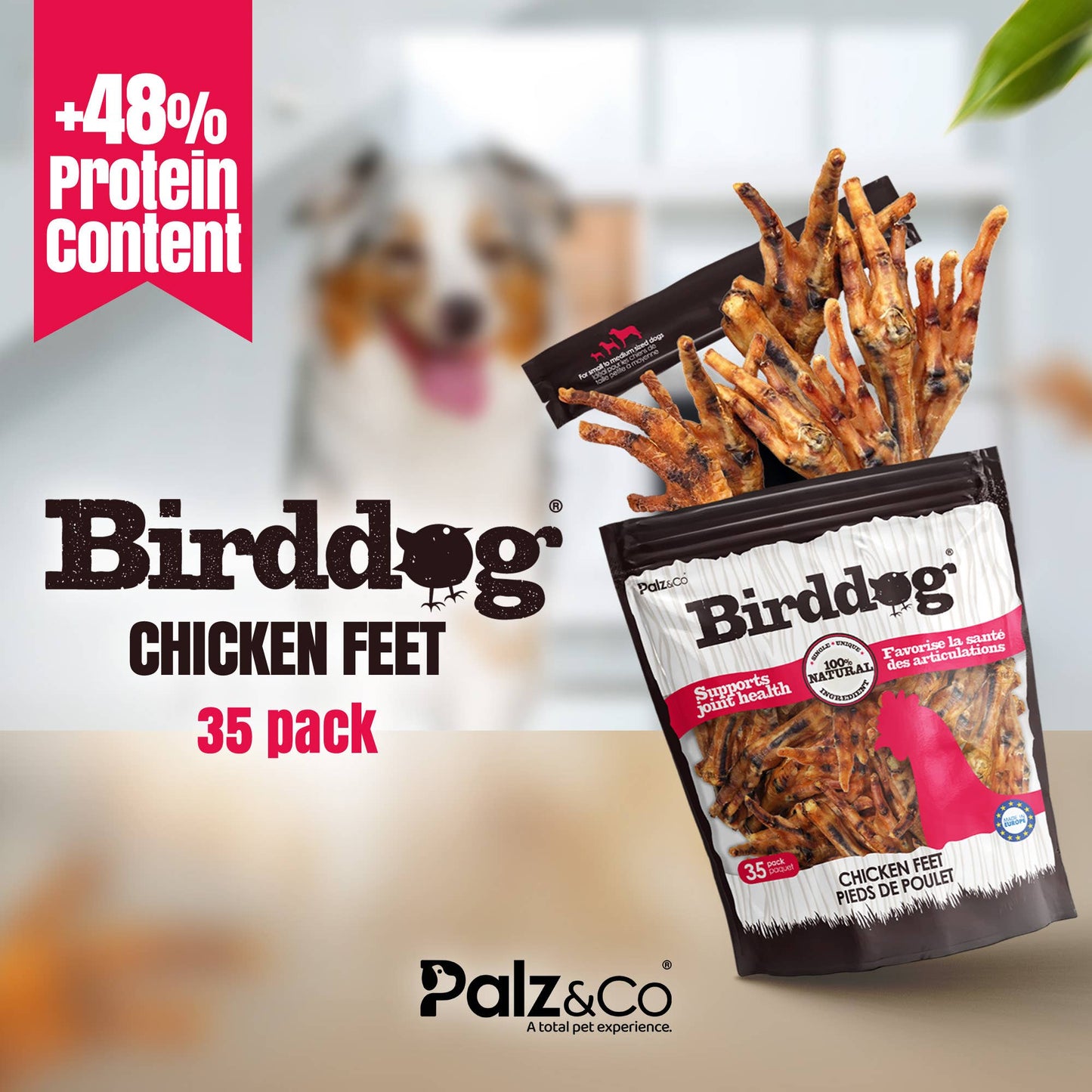 Birddog Chicken Feet Dog Treats