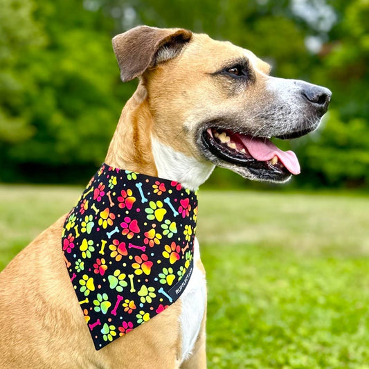 Puppy Paws RUFFLECT® Dog Bandana