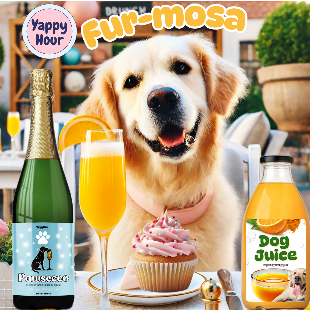 "Fur-Mosa" Mimosa Kit for Dogs | 6ct