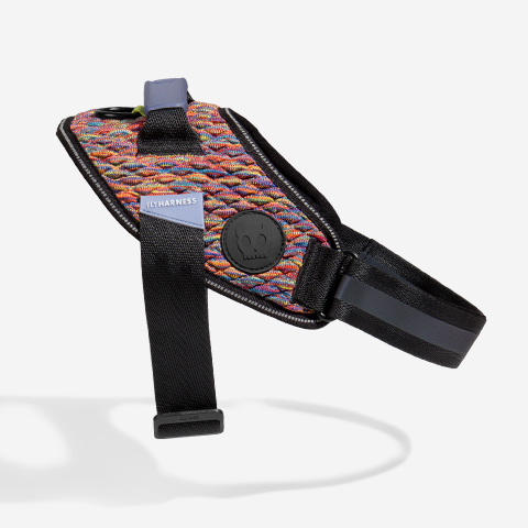 Vortex | FlyHarness