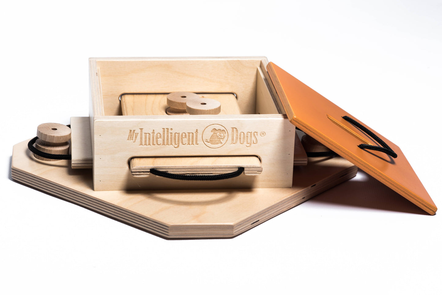 Trouble - intelligent game for dogs