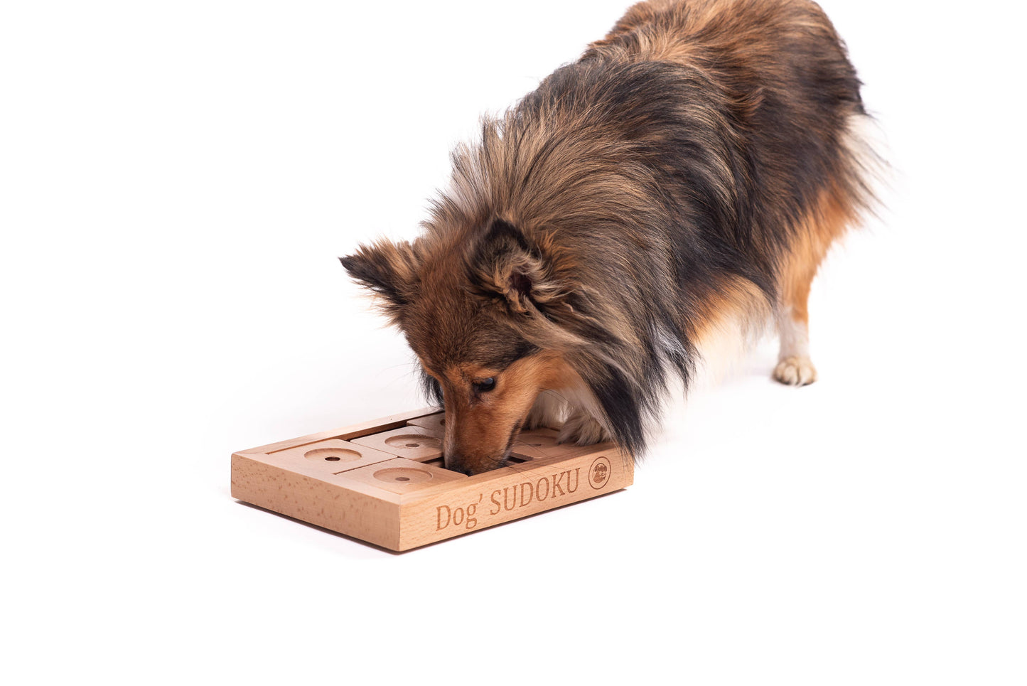 SUDOKU Small Advanced - dog and cat sudoku puzzle