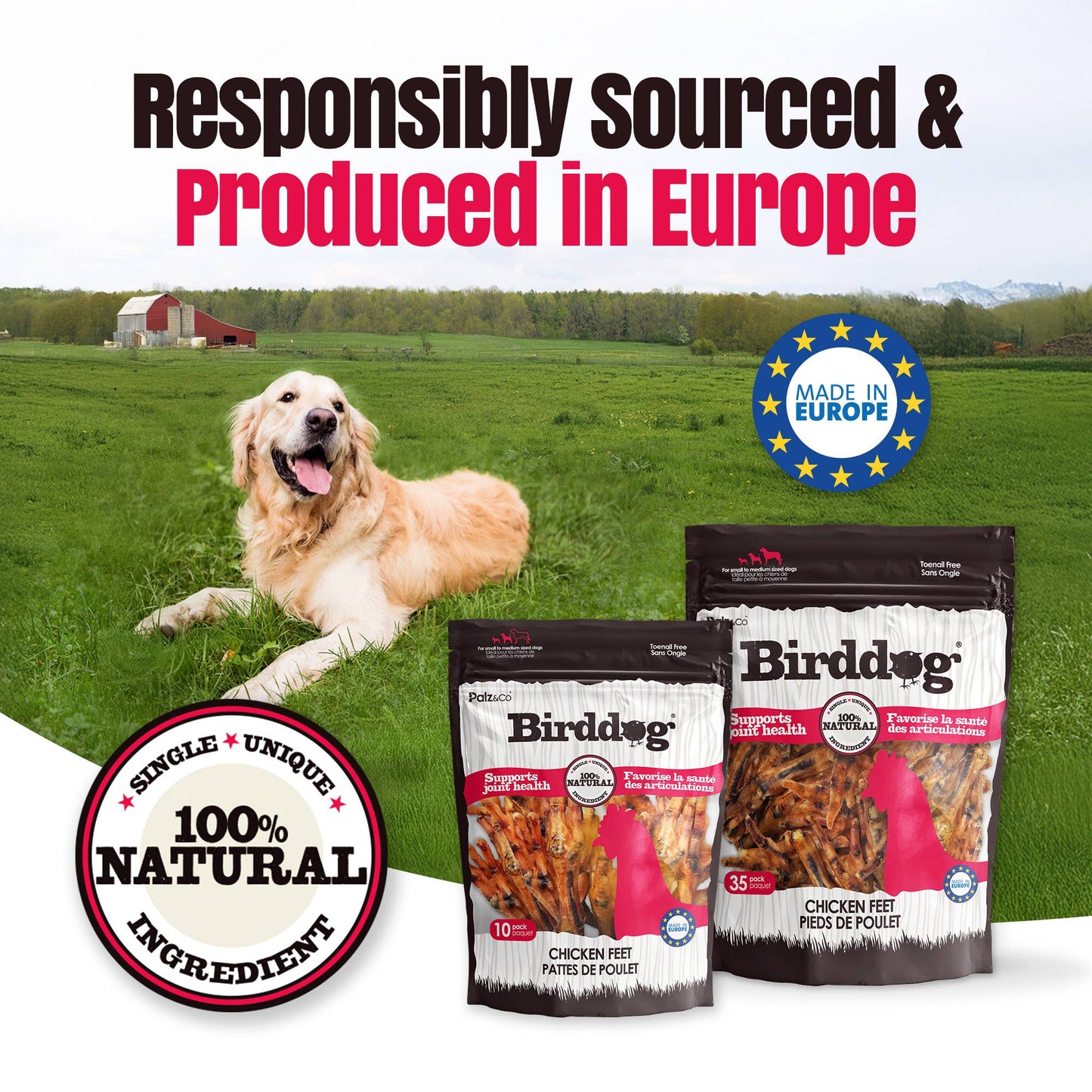 Birddog Chicken Feet Dog Treats