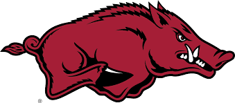 Arkansas (U. of), Tusk the Razorback Knottie® Plush Dog Toy