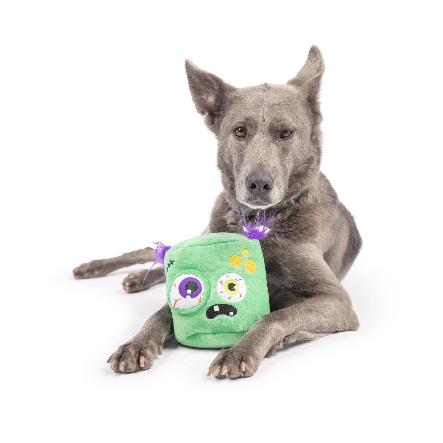 Zombie Pop 'n Fetch Pop-Eye Dog Toy
