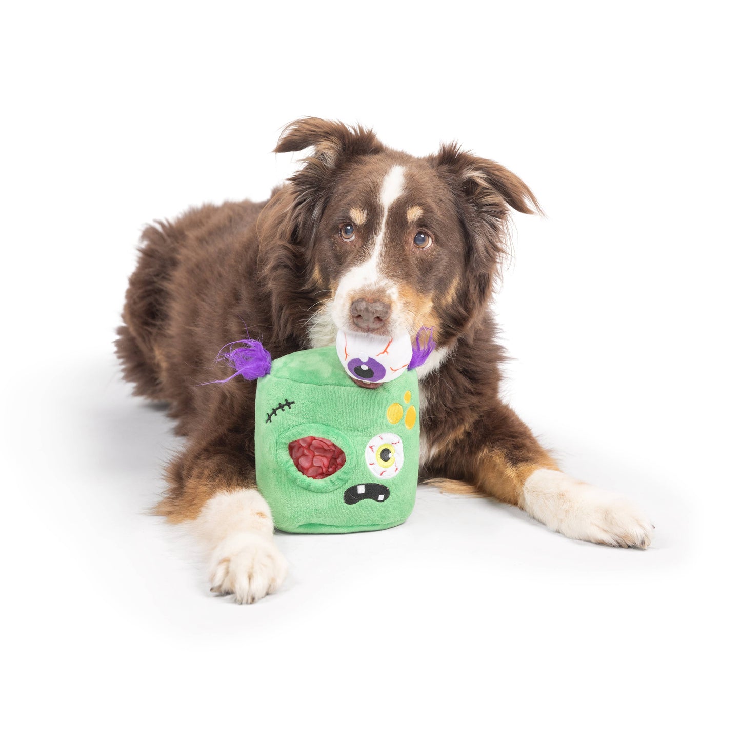 Zombie Pop 'n Fetch Pop-Eye Dog Toy