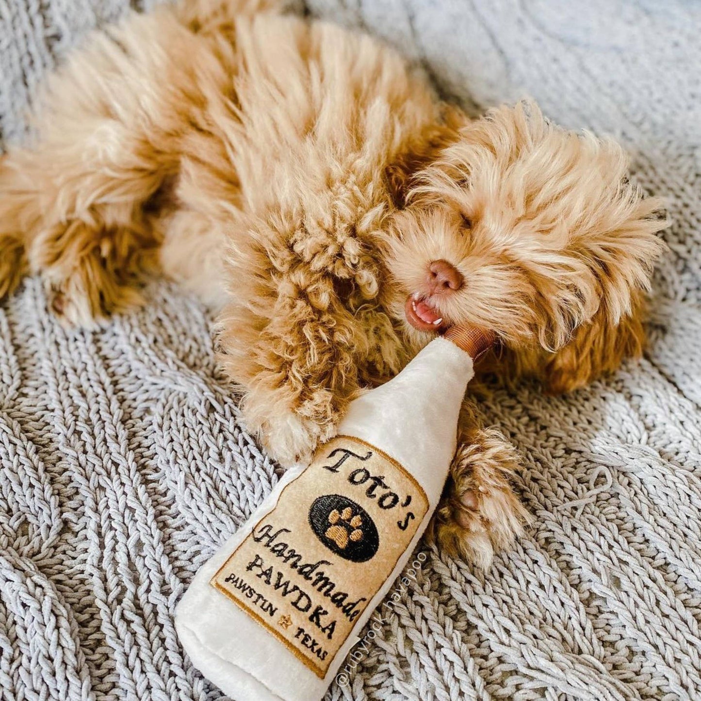 Toto's Pawdka Dog Toy