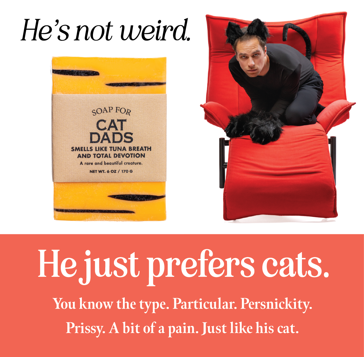 Soap for Cat Dads | Funny Soap