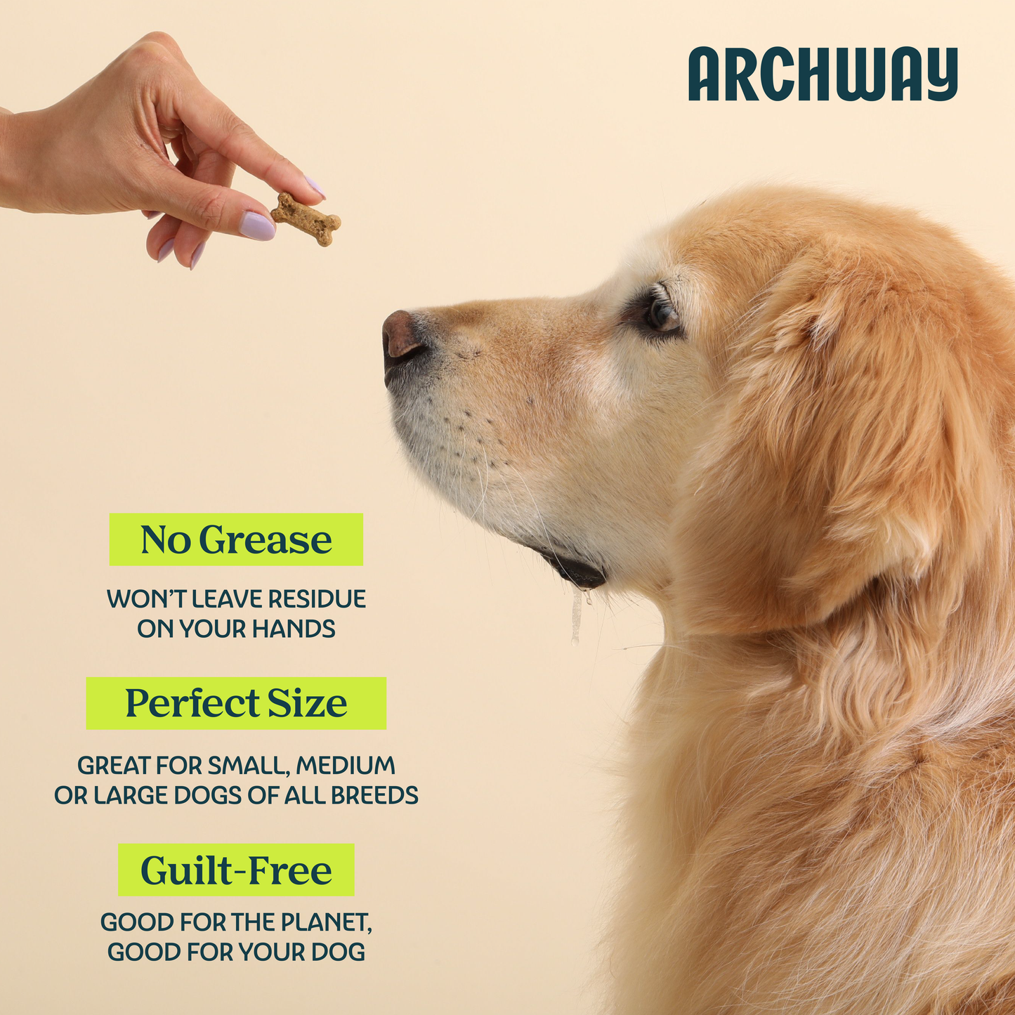 Better Biscuit Hypoallergenic Eco-Friendly Crunchy Dog Treat