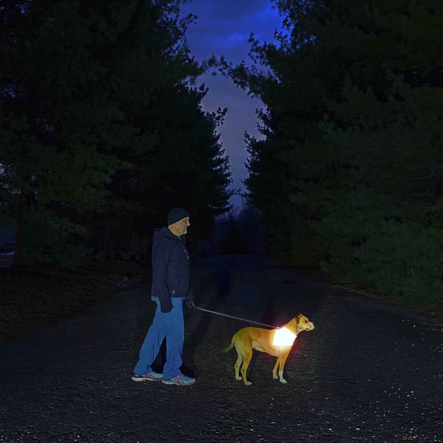 Squirrel Patrol RUFFLECT® Dog Bandana