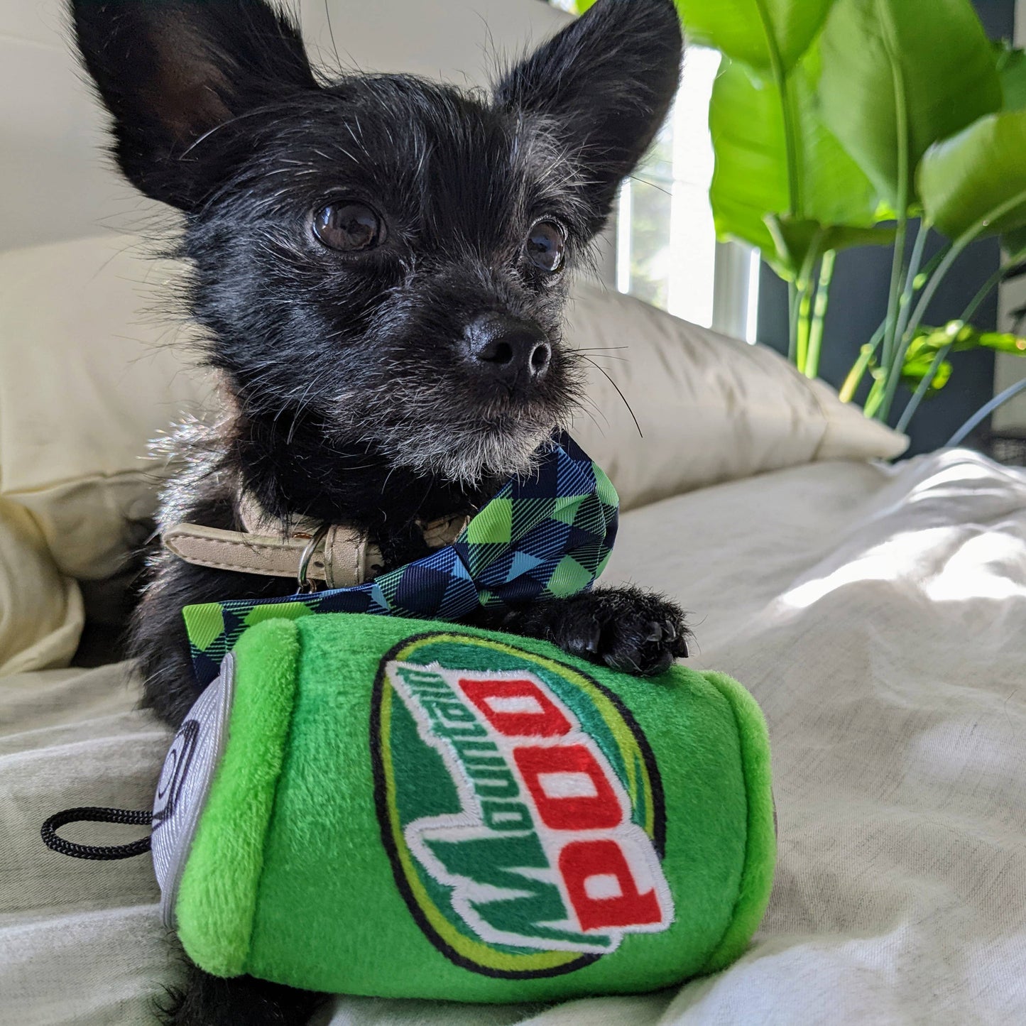 Mountain Poo Dog Toy