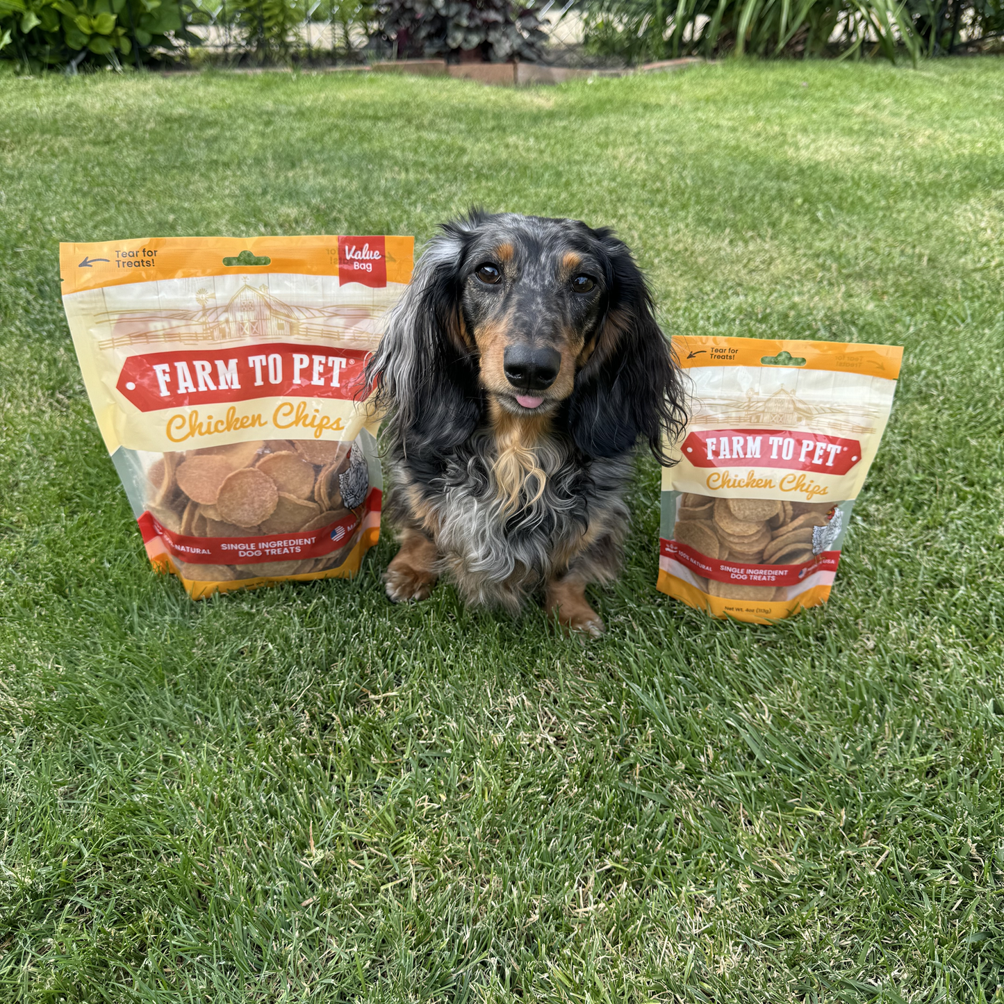 Chicken Chips Dog Treats