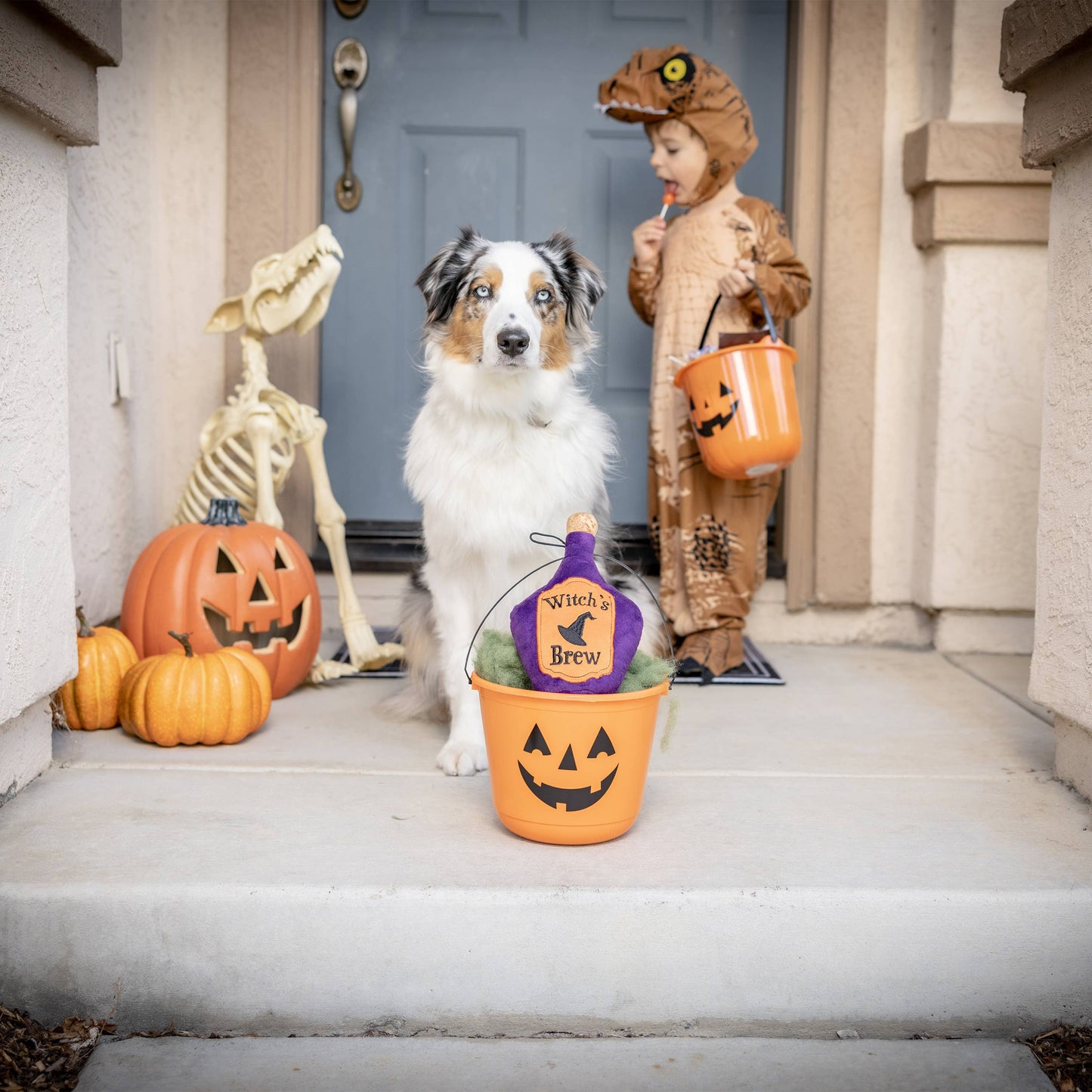 Witch's Brew Dog Toy