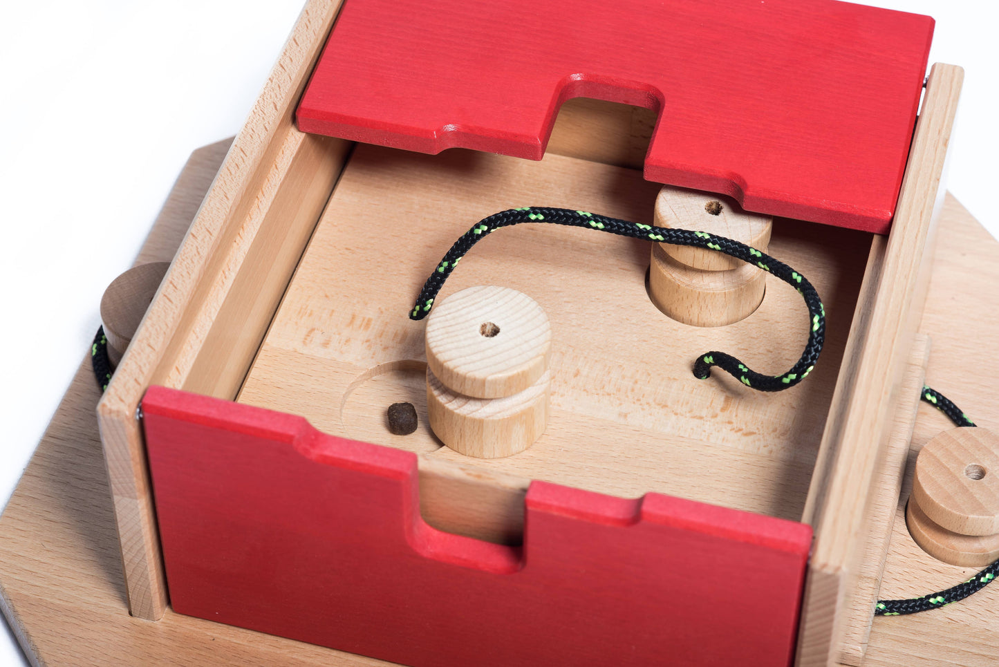 Swiss Qube - intelligent game for dogs
