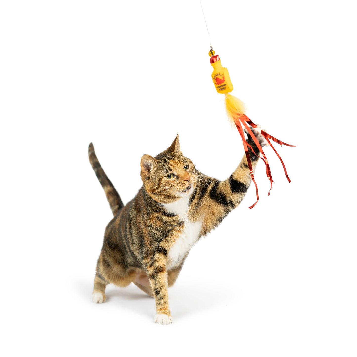 Teaser Hairball Whisky Cat Wand