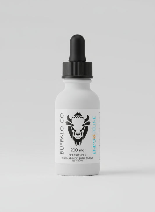 Bottle of liquid on a laptop with a colorful chair and wooden floor in the background