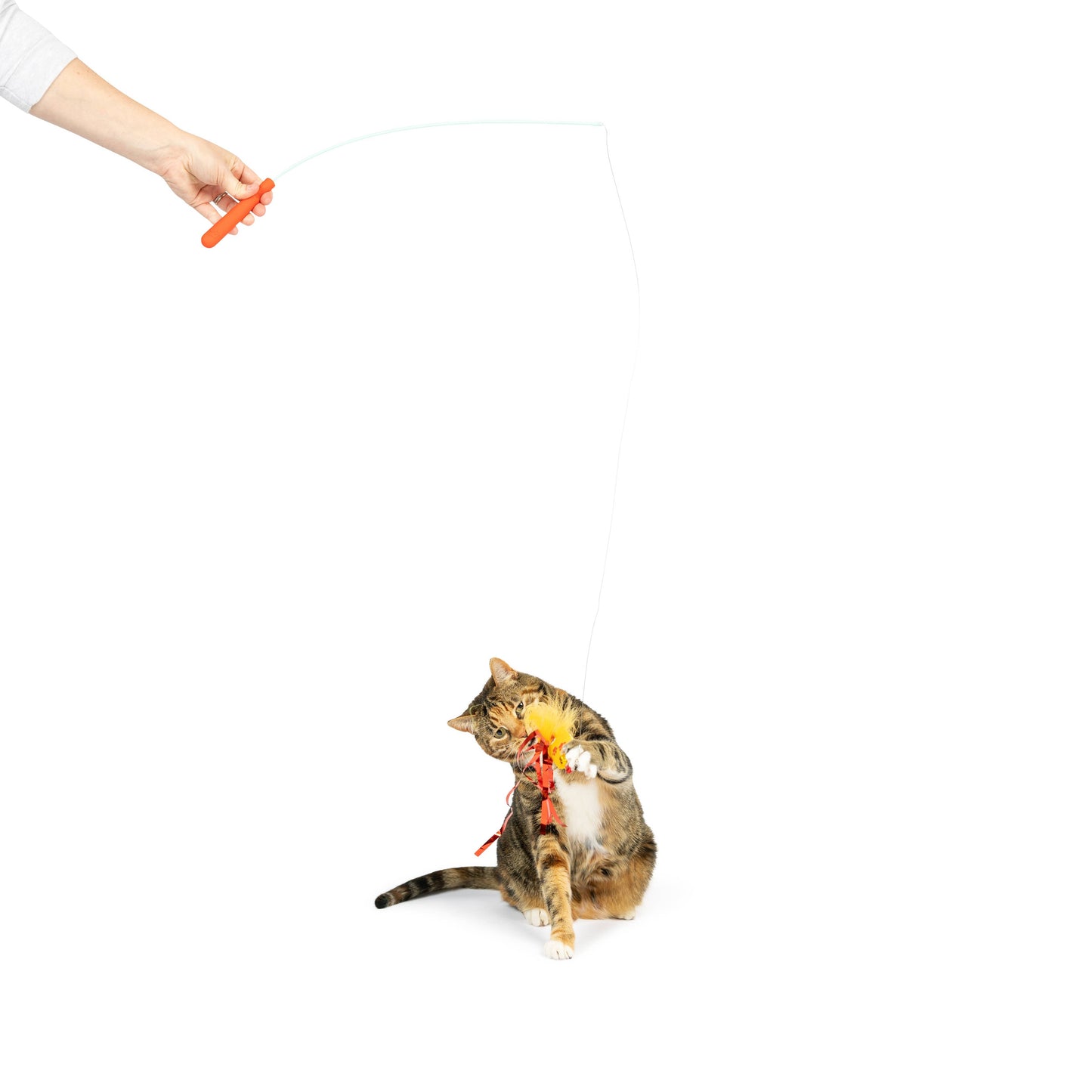 Teaser Hairball Whisky Cat Wand