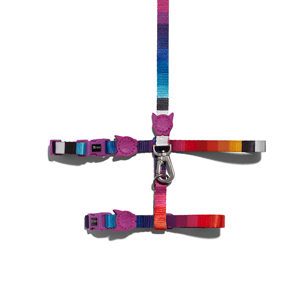Prisma | Cat Harness with Leash