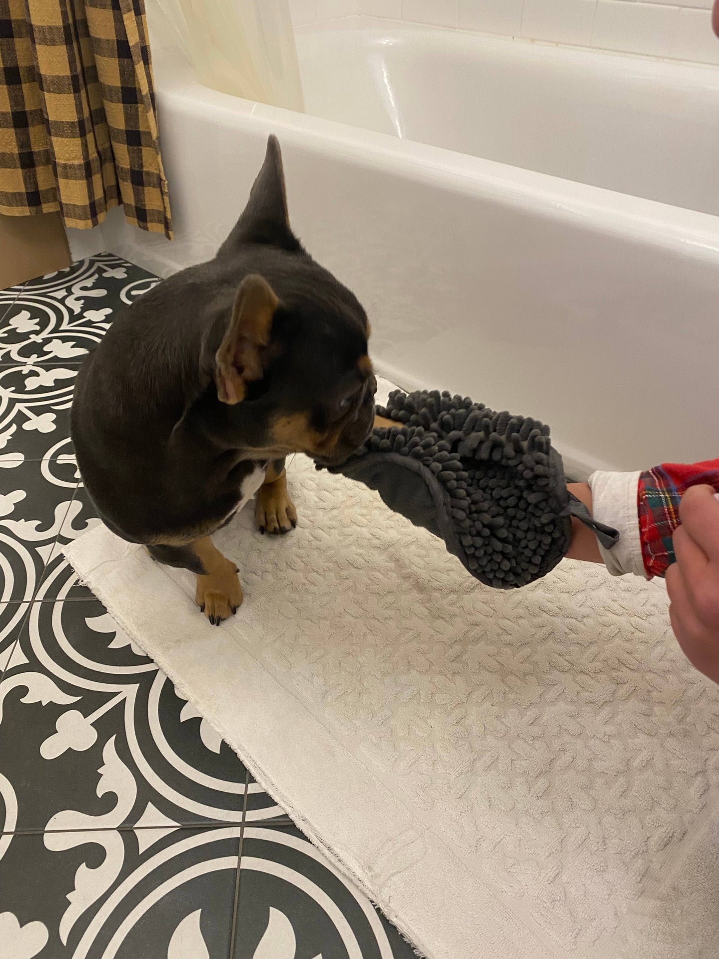 Grey Clean Paws Drying Mitt - 10"