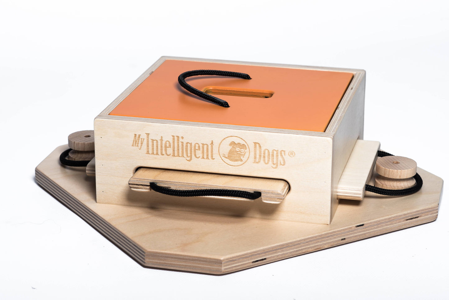 Trouble - intelligent game for dogs