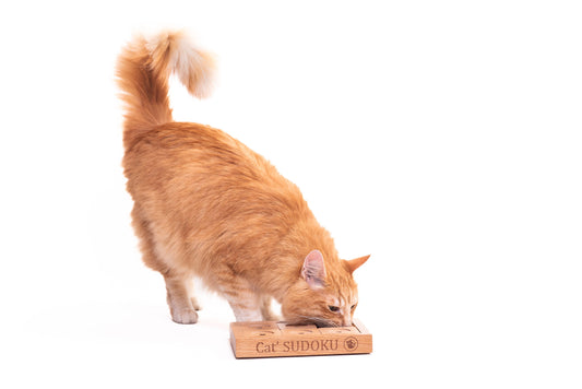 SUDOKU Small Advanced - dog and cat sudoku puzzle