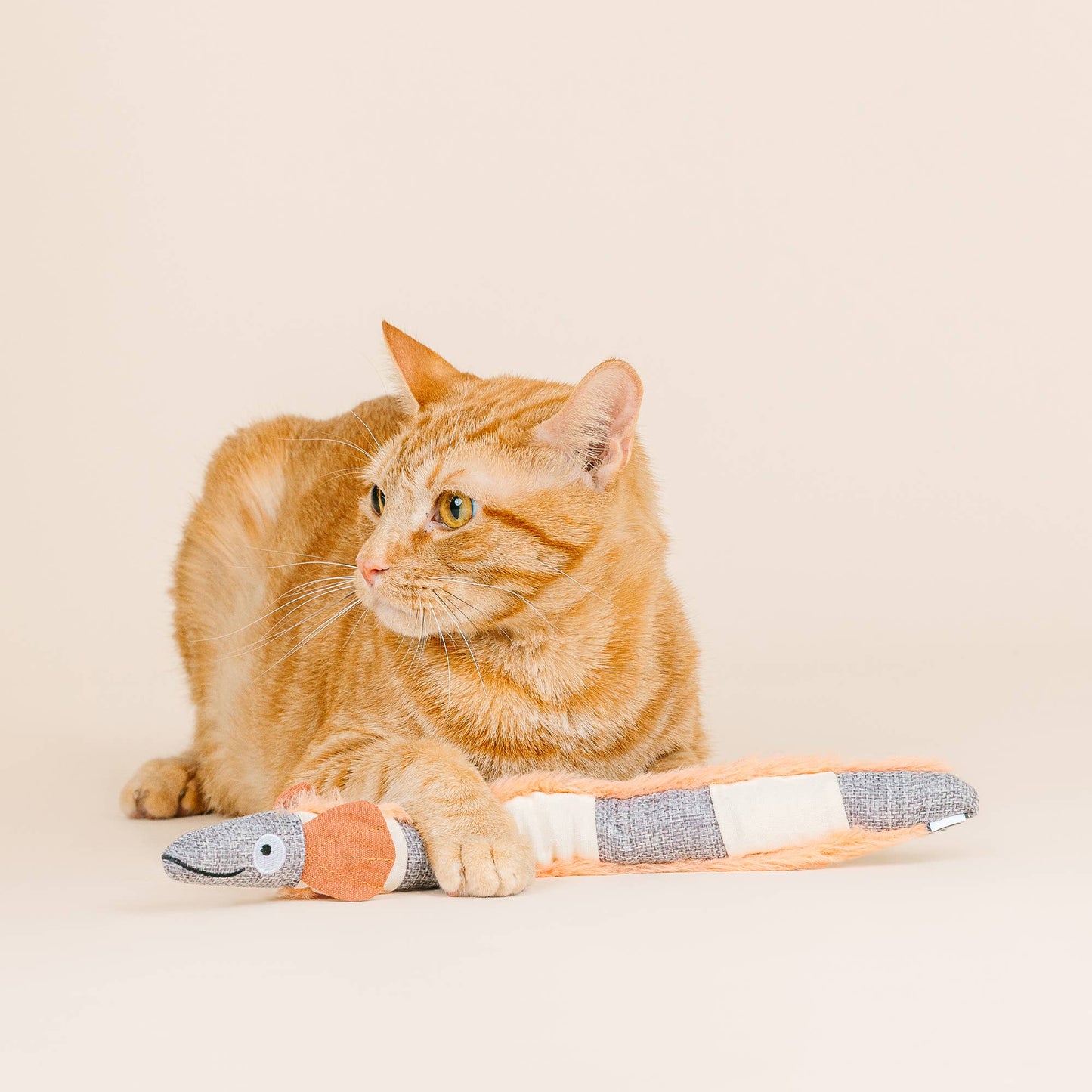 Feeling Eel Ectrick Kicker Cat Toy
