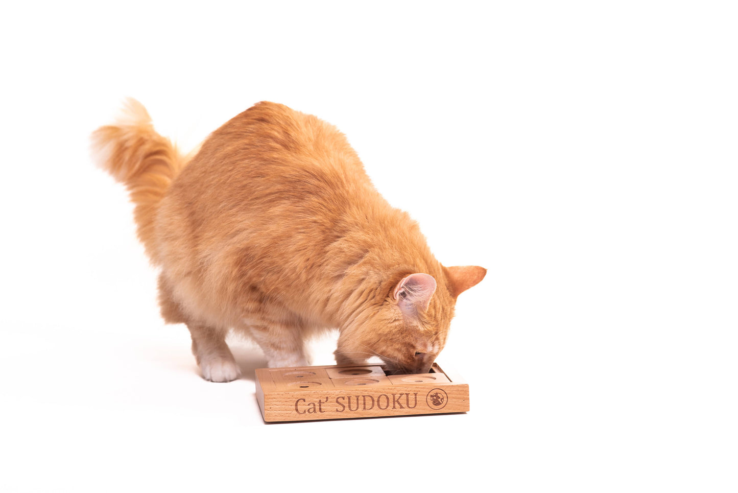 SUDOKU Small Advanced - dog and cat sudoku puzzle