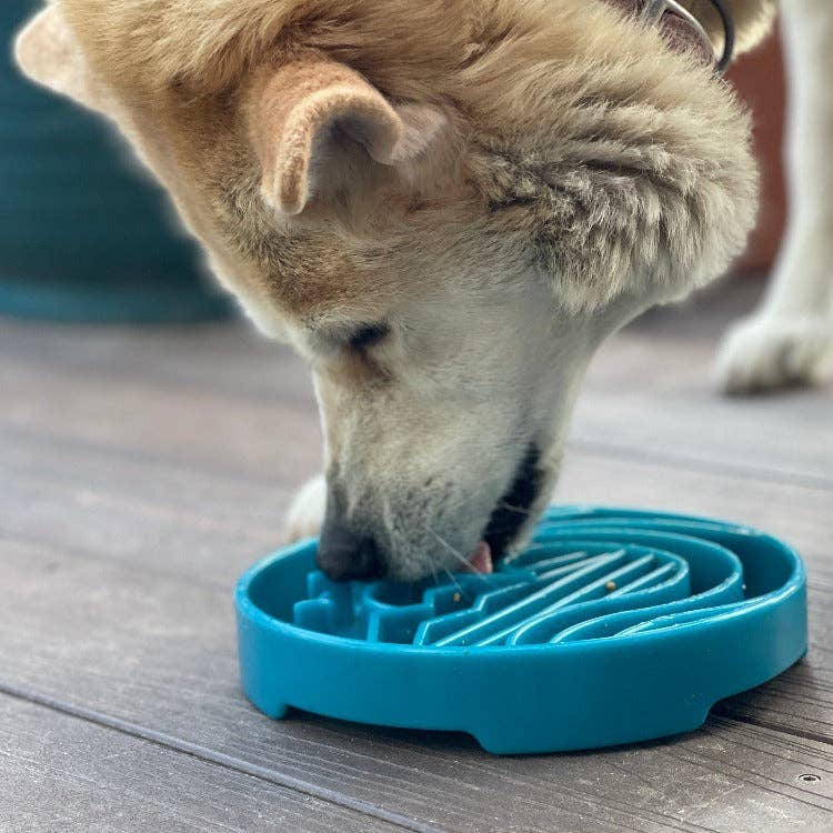 Baja Design eTray Enrichment Slow Feeder Tray for Dogs - Light Blue