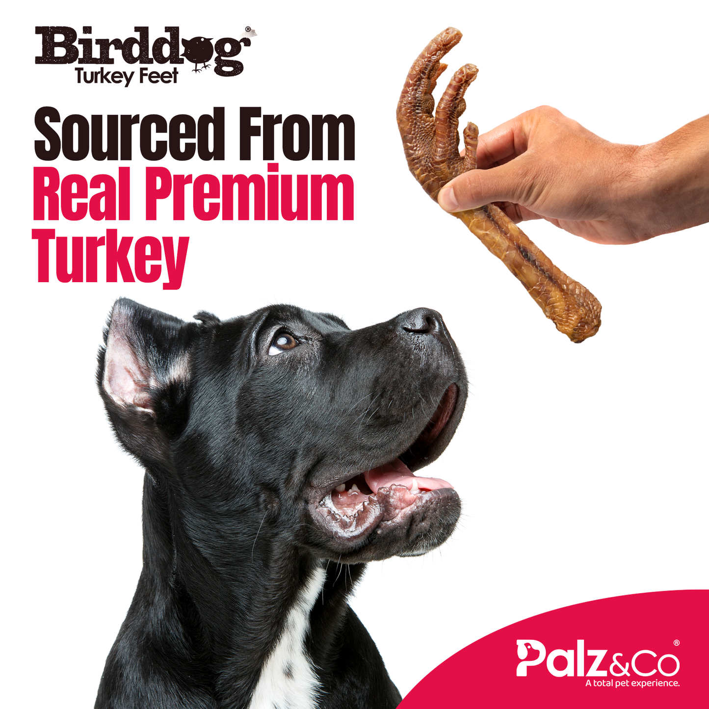 Birddog Turkey Feet - Pack of 4