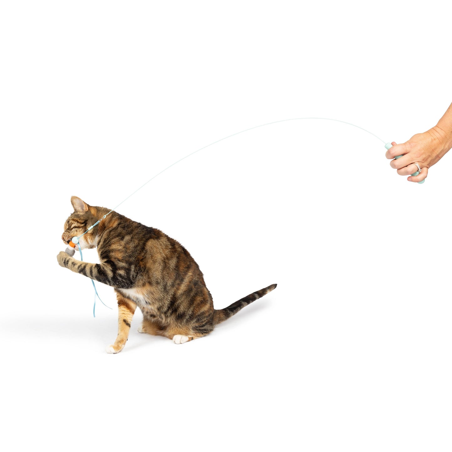 Wire Toto's & Pom Poms Wand 2pk Cat Toy